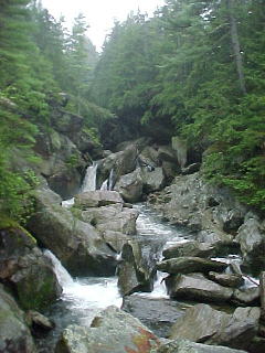 Canyon gorge, Vermont