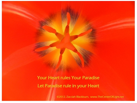 Paradise Rules your Heart