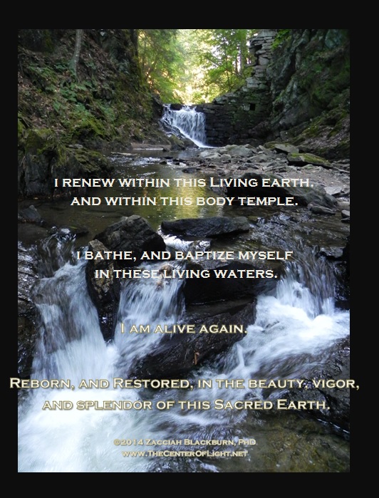 I renew within this living earth