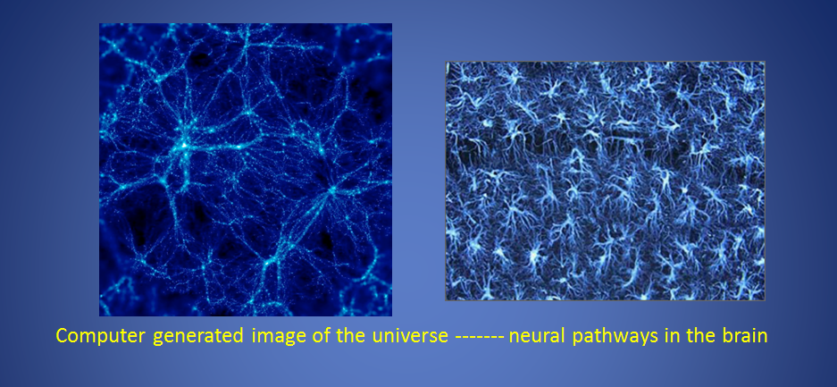 Map of Brain and Universe