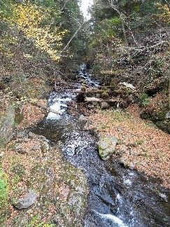 Mill Brook, Ascutney, VT