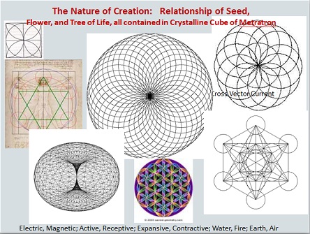 Geometries of Nature, 2