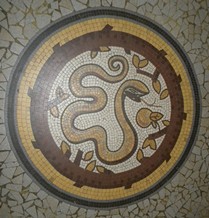 Serpent in Cathedral in Toulose