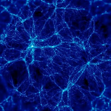 neurons